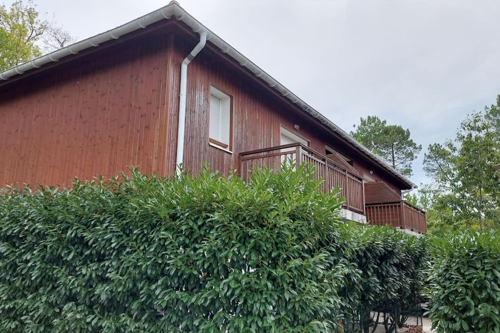 Appartement Cosy Biscarrosse Bagian luar foto
